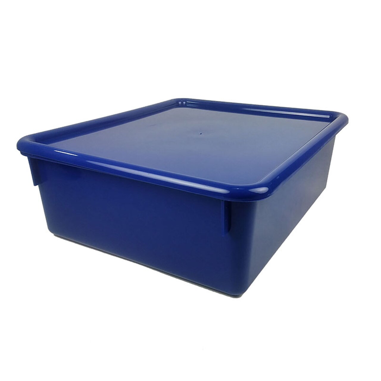 Double Stowaway&#xAE; Tray With Lid, Blue